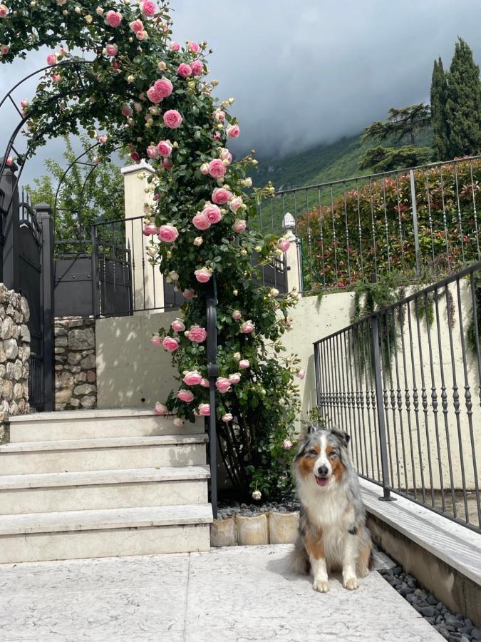 Corte Caiar Bed&Breakfast Caprino Veronese Εξωτερικό φωτογραφία